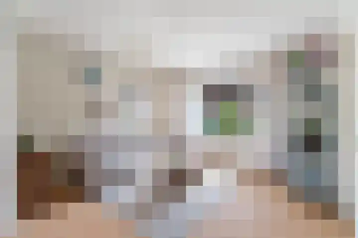 Distelkruisstraat 1 Amsterdam thumbnail 9