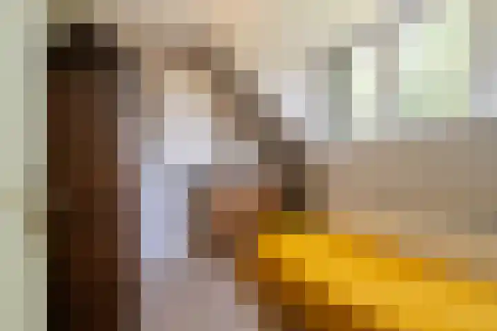 Distelkruisstraat 4 Amsterdam thumbnail 12