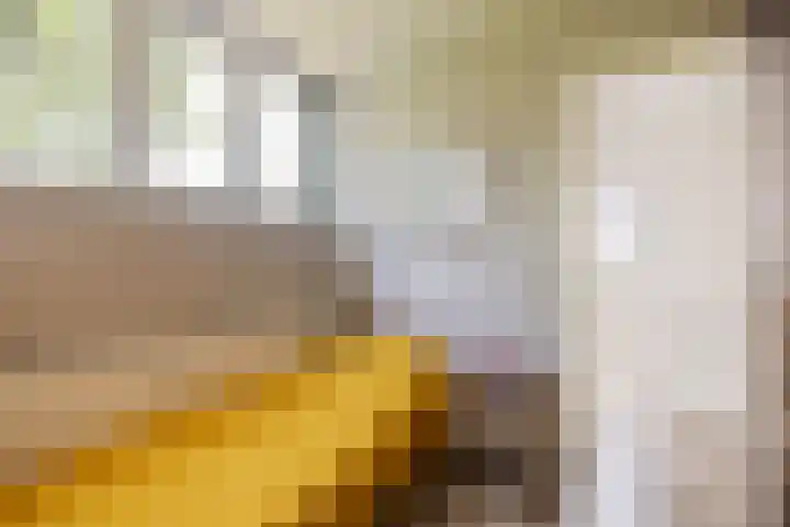 Distelkruisstraat 4 Amsterdam thumbnail 13