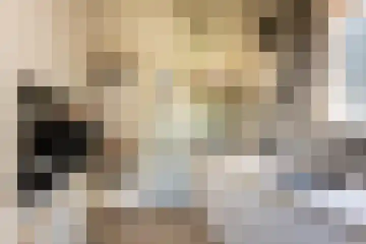 Distellaan 13 Aerdenhout thumbnail 13