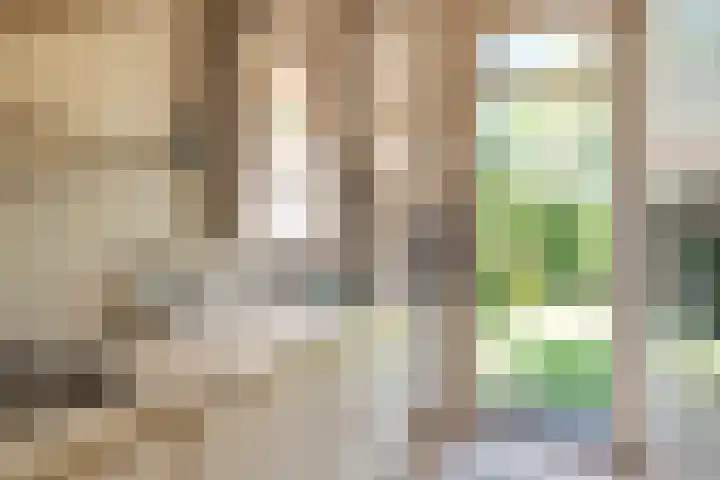 Distellaan 13 Aerdenhout thumbnail 14