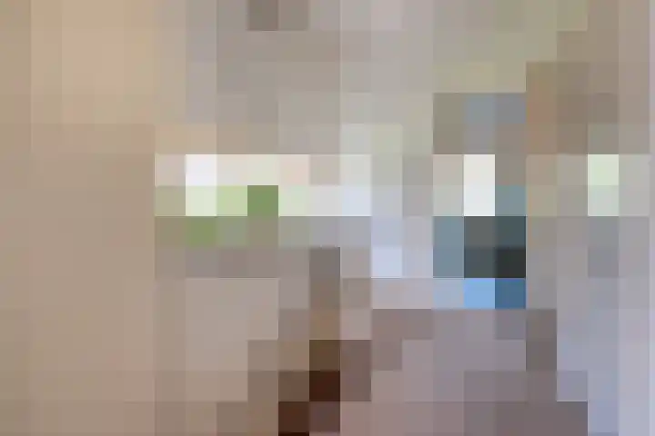 Distellaan 13 Aerdenhout thumbnail 18