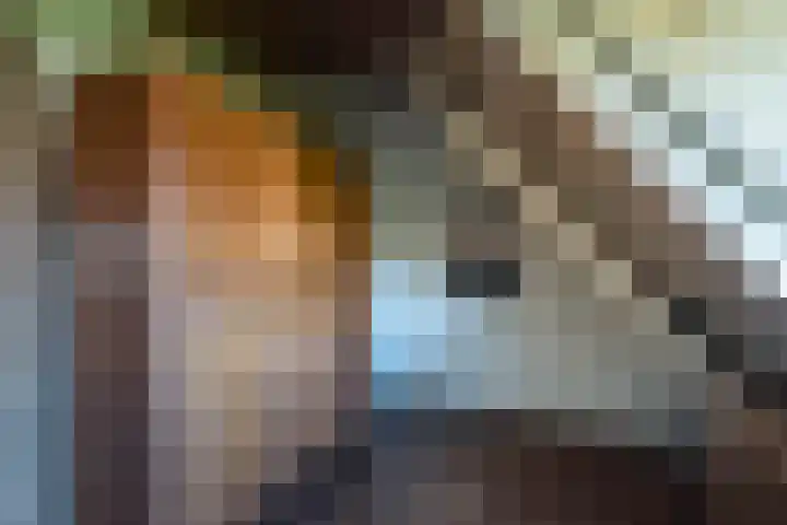 Distellaan 13 Aerdenhout thumbnail 29