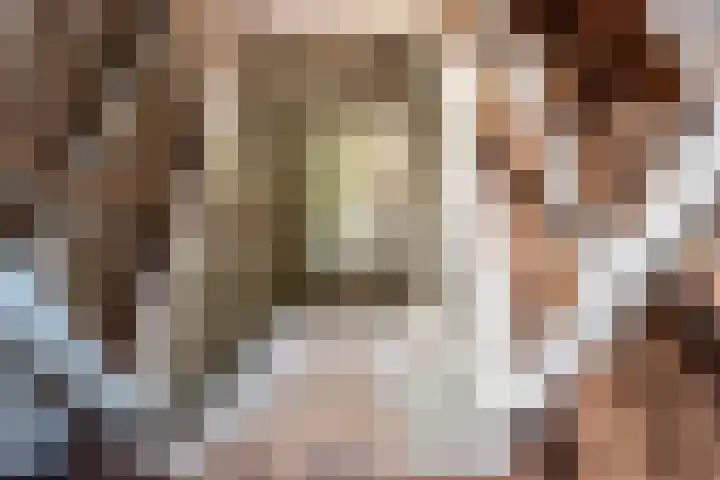 Distellaan 13 Aerdenhout thumbnail 32