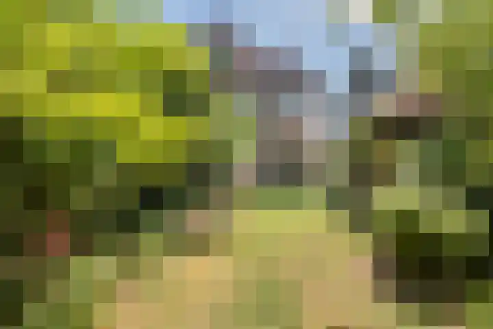 Distellaan 13 Aerdenhout thumbnail 33