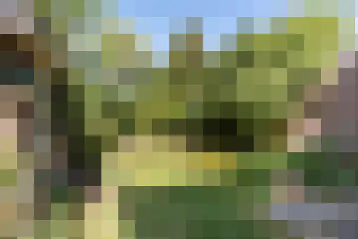 Distellaan 13 Aerdenhout thumbnail 34