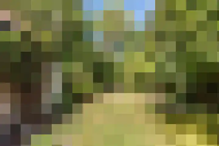 Distellaan 13 Aerdenhout thumbnail 35
