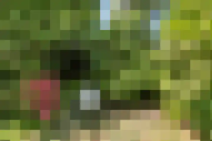 Distellaan 13 Aerdenhout thumbnail 37