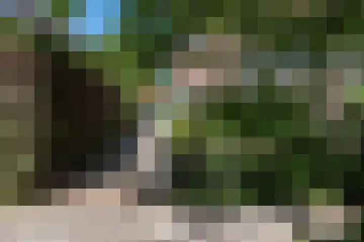 Distellaan 13 Aerdenhout thumbnail 38