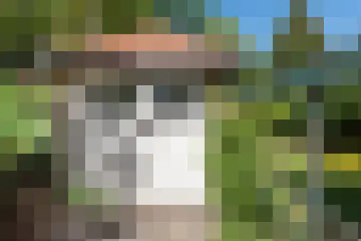 Distellaan 13 Aerdenhout thumbnail 39