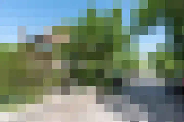 Distellaan 13 Aerdenhout thumbnail 4