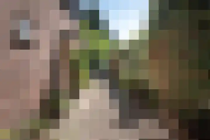 Distellaan 13 Aerdenhout thumbnail 40