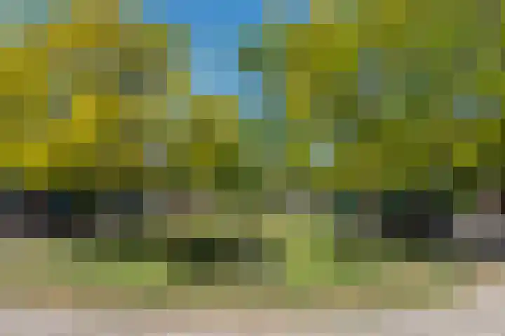Distellaan 13 Aerdenhout thumbnail 41