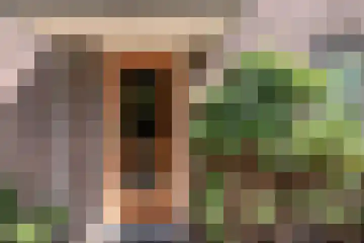 Distellaan 13 Aerdenhout thumbnail 5