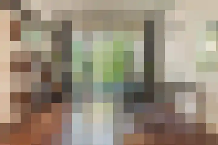 Distellaan 13 Aerdenhout thumbnail 8