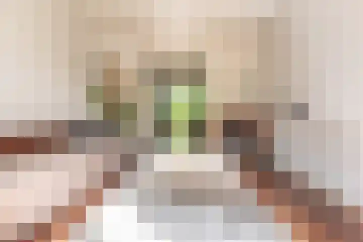 Distellaan 13 Aerdenhout thumbnail 9
