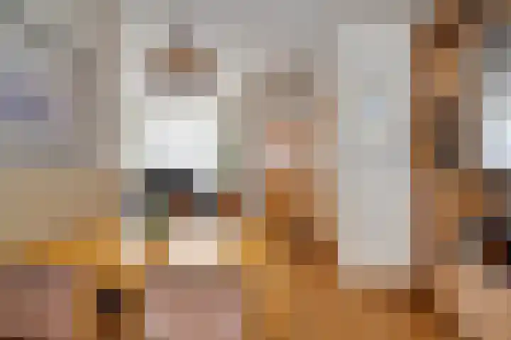 Distellaar 103 Veghel thumbnail 10