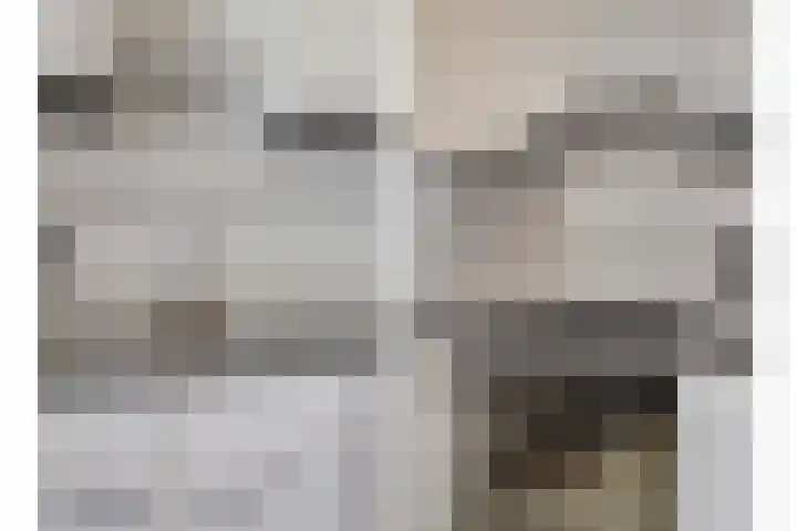 Distellaar 103 Veghel thumbnail 12