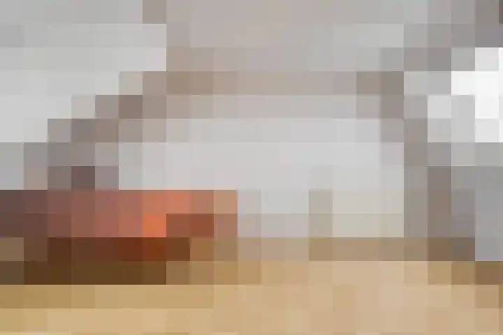 Distellaar 103 Veghel thumbnail 21