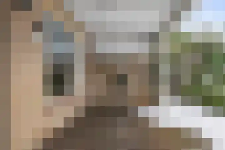 Distellaar 103 Veghel thumbnail 28