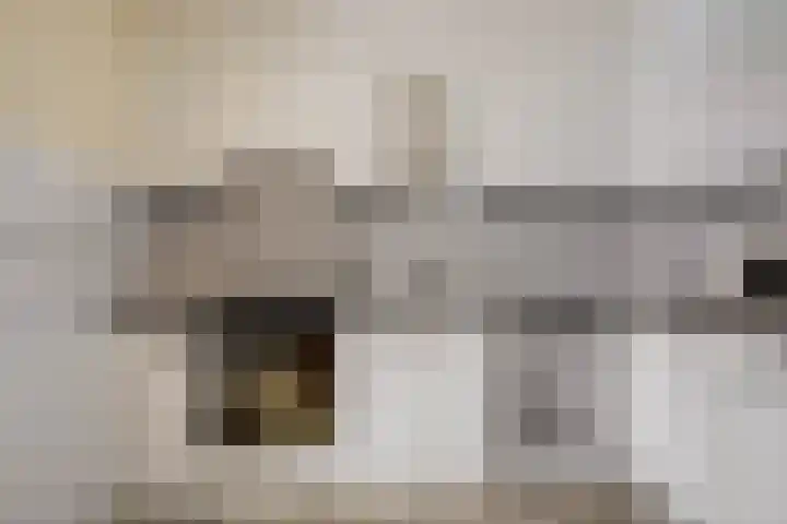 Distellaar 103 Veghel thumbnail 4