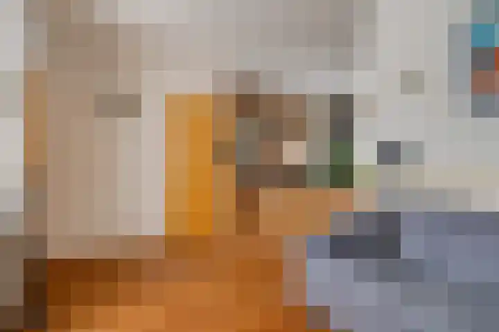 Distellaar 103 Veghel thumbnail 9