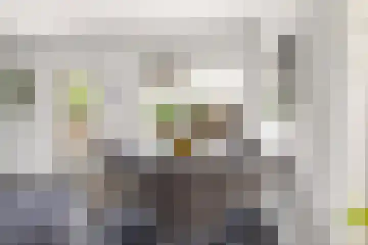Distellaar 109 Veghel thumbnail 10