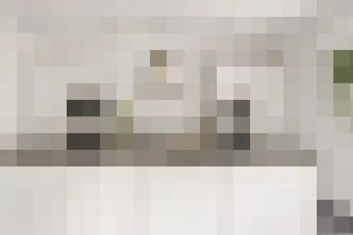 Distellaar 109 Veghel thumbnail 11
