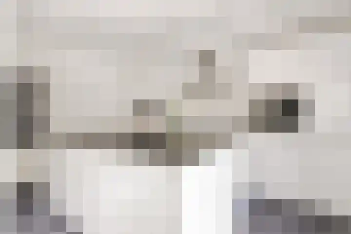 Distellaar 109 Veghel thumbnail 12