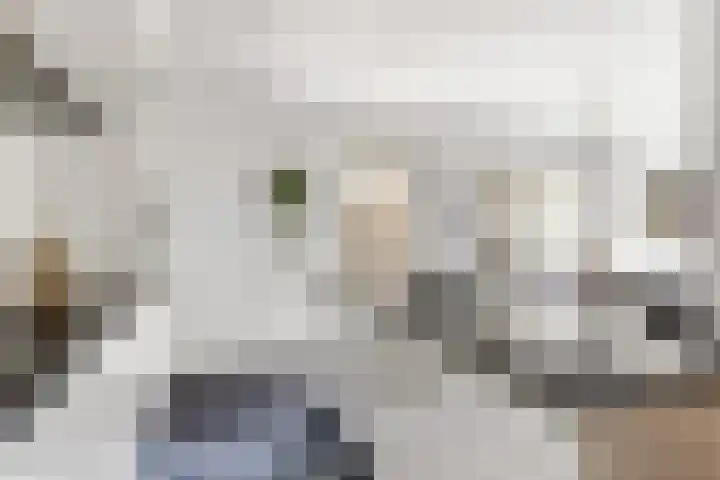 Distellaar 109 Veghel thumbnail 13