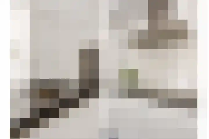 Distellaar 109 Veghel thumbnail 14