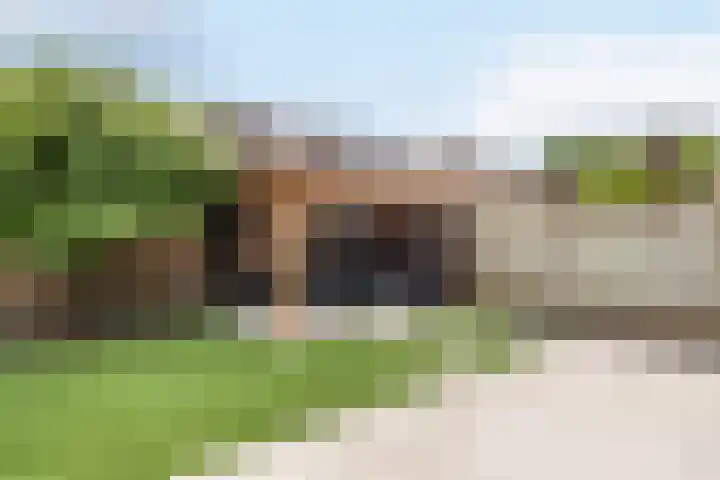Distellaar 109 Veghel thumbnail 28