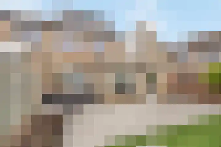 Distellaar 109 Veghel thumbnail 30