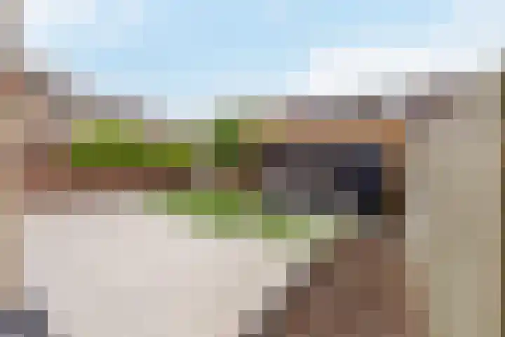 Distellaar 109 Veghel thumbnail 33