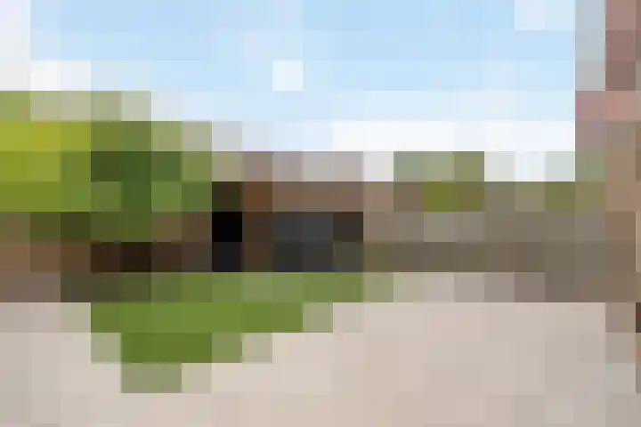 Distellaar 109 Veghel thumbnail 35