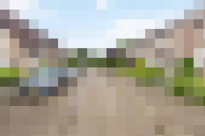 Distellaar 109 Veghel thumbnail 36