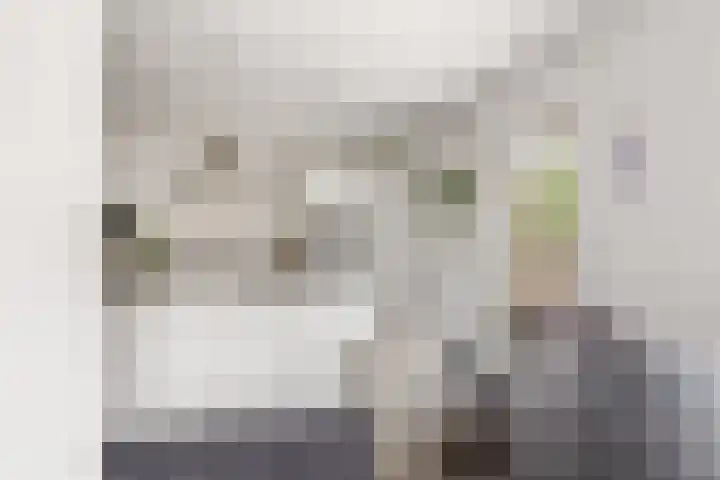 Distellaar 109 Veghel thumbnail 4