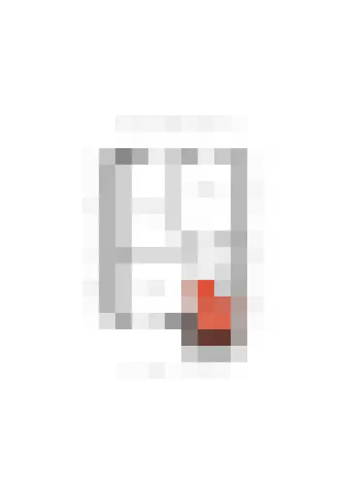 Distellaar 109 Veghel thumbnail 40
