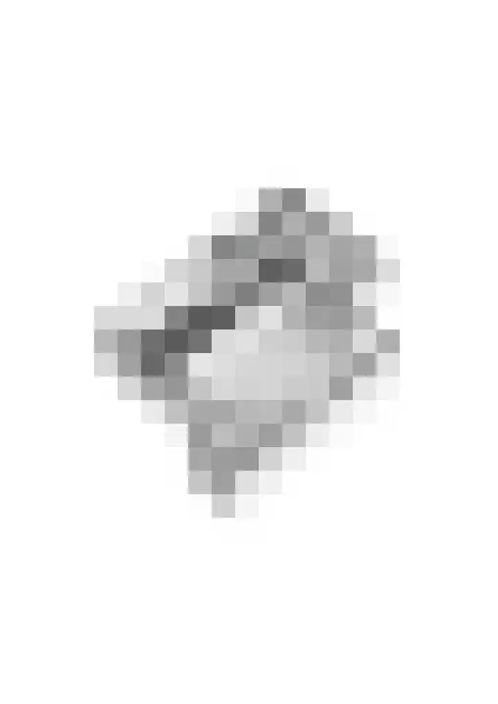 Distellaar 109 Veghel thumbnail 43