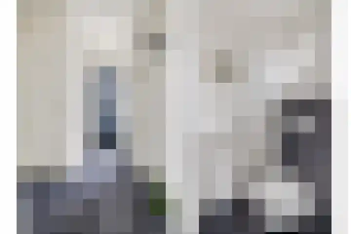 Distellaar 109 Veghel thumbnail 6