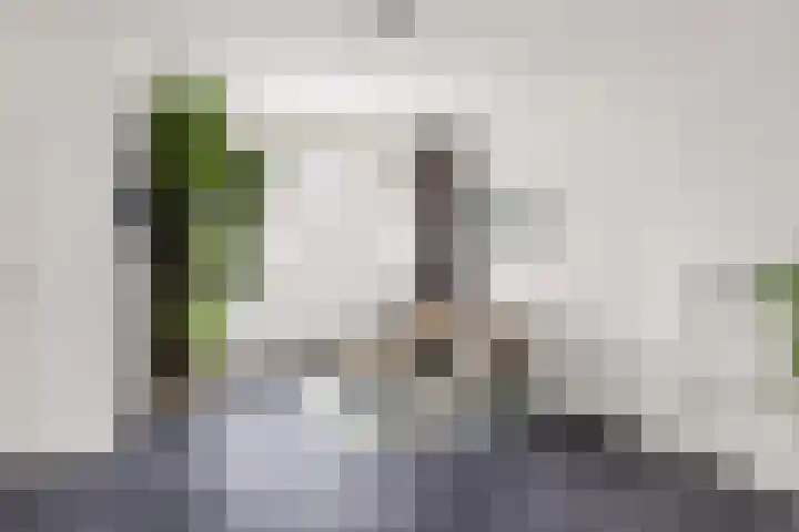 Distellaar 109 Veghel thumbnail 8