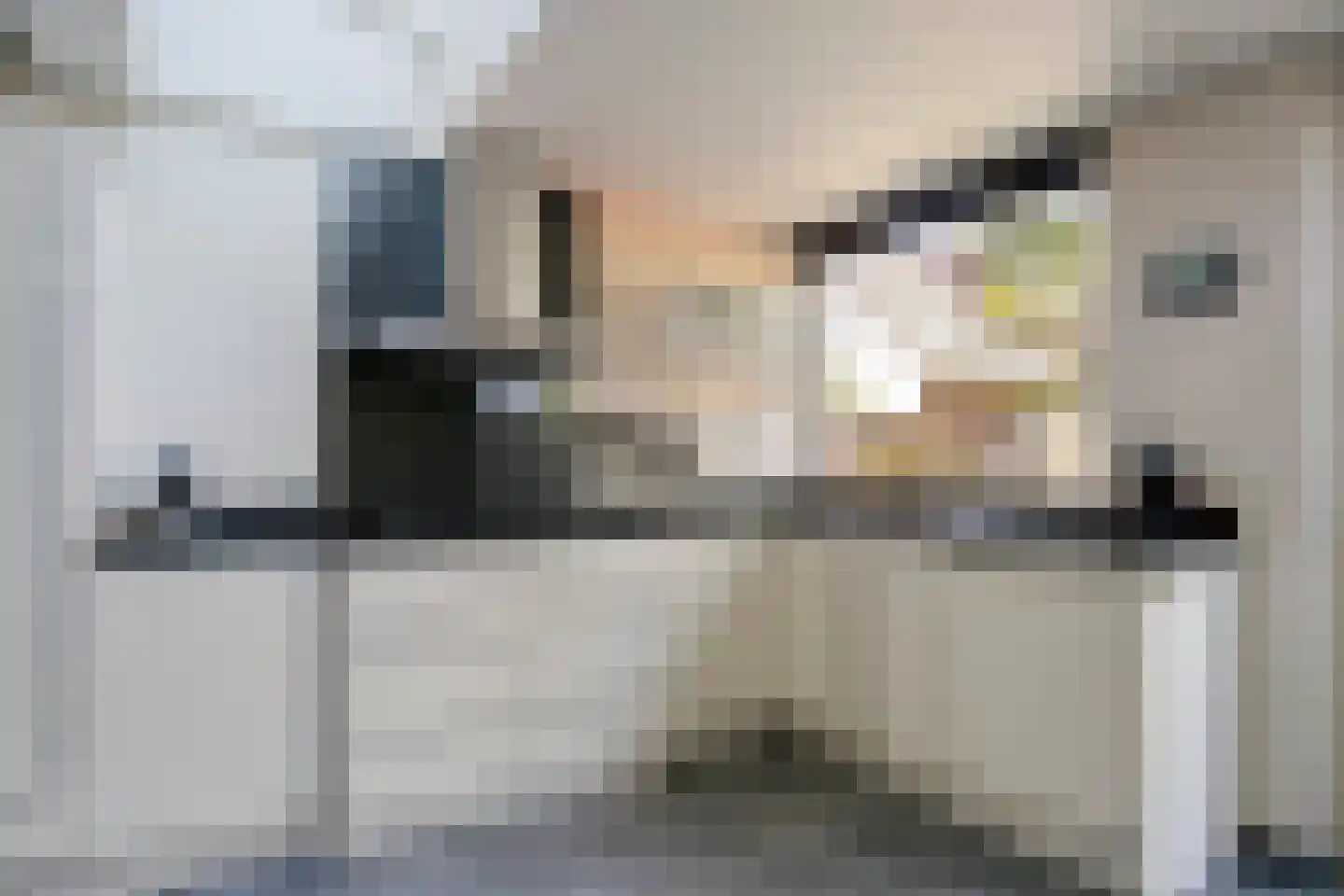 Distellaar 22 Veghel thumbnail 13