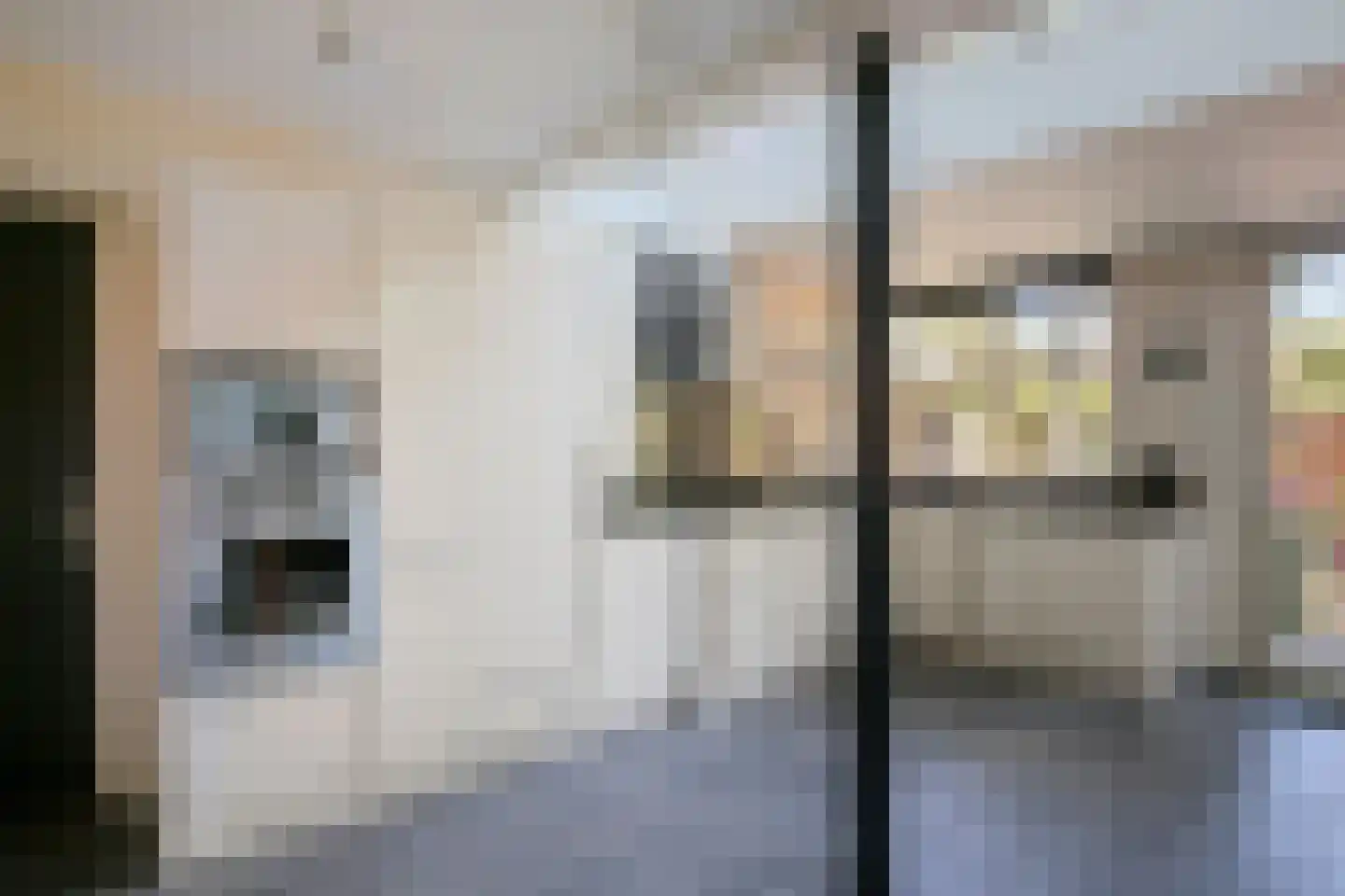 Distellaar 22 Veghel thumbnail 14