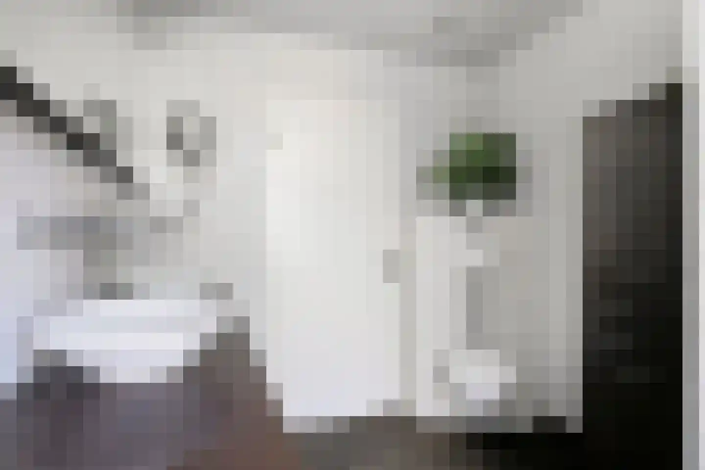 Distellaar 22 Veghel thumbnail 23