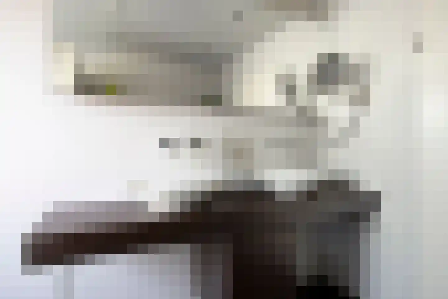 Distellaar 22 Veghel thumbnail 24