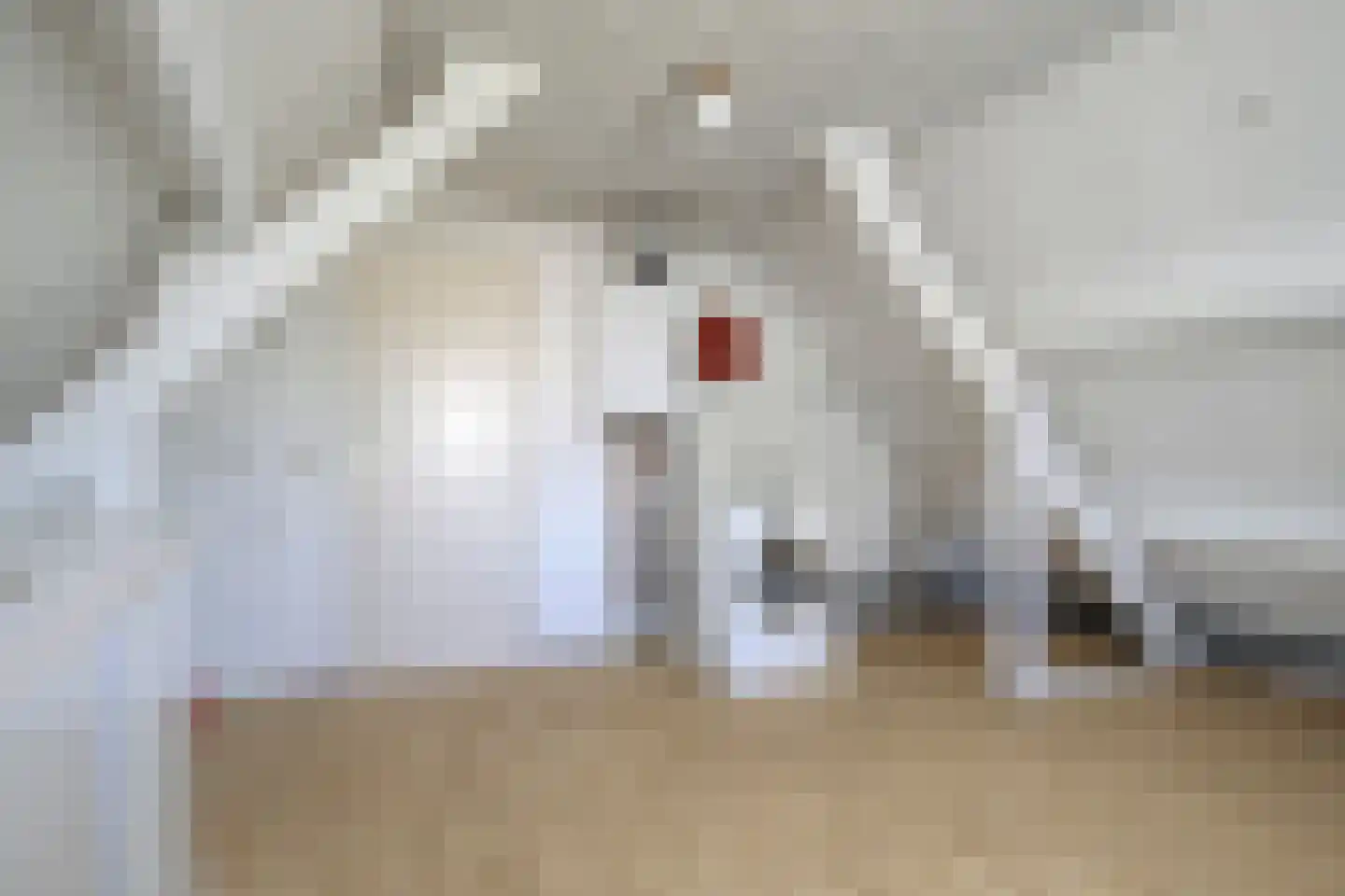 Distellaar 22 Veghel thumbnail 32