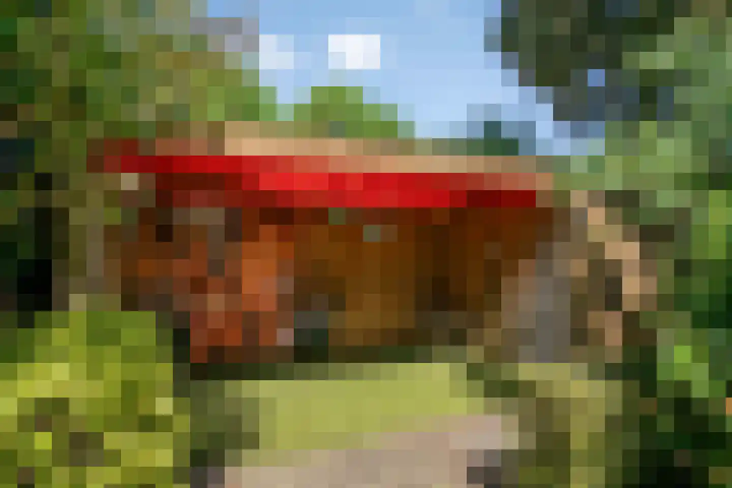 Distellaar 22 Veghel thumbnail 40
