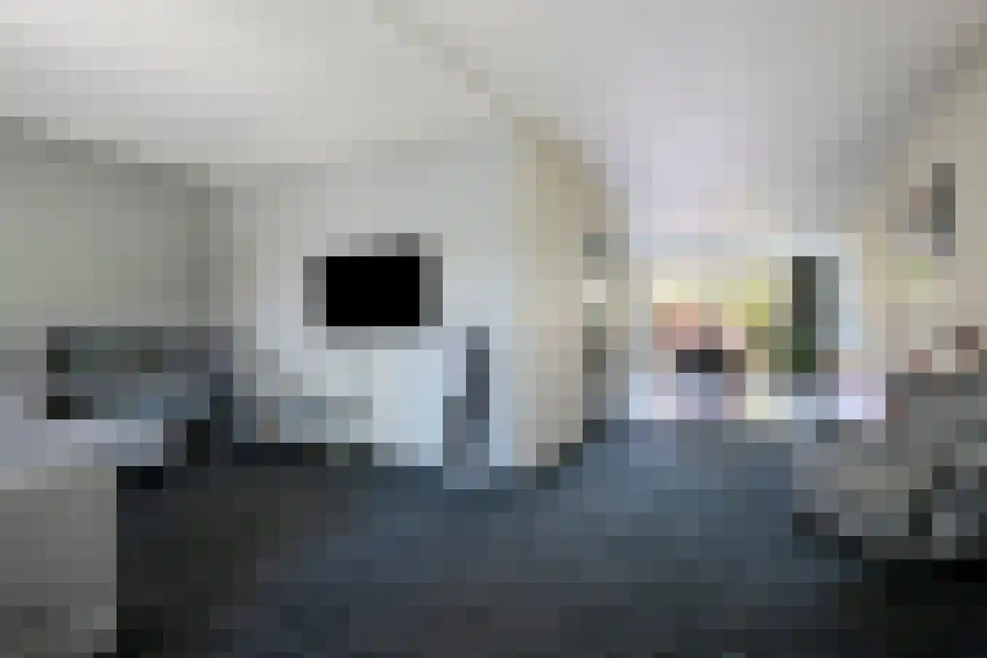 Distellaar 22 Veghel thumbnail 8