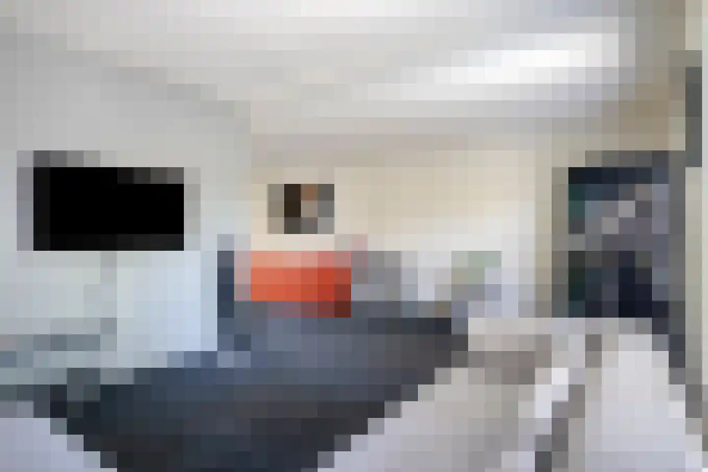 Distellaar 22 Veghel thumbnail 9