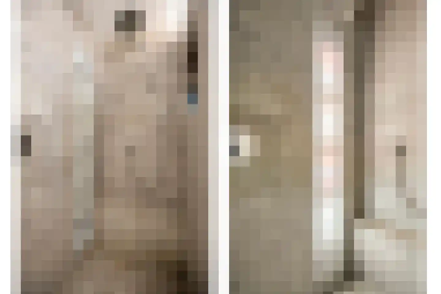 Distellaar 27 Veghel thumbnail 20